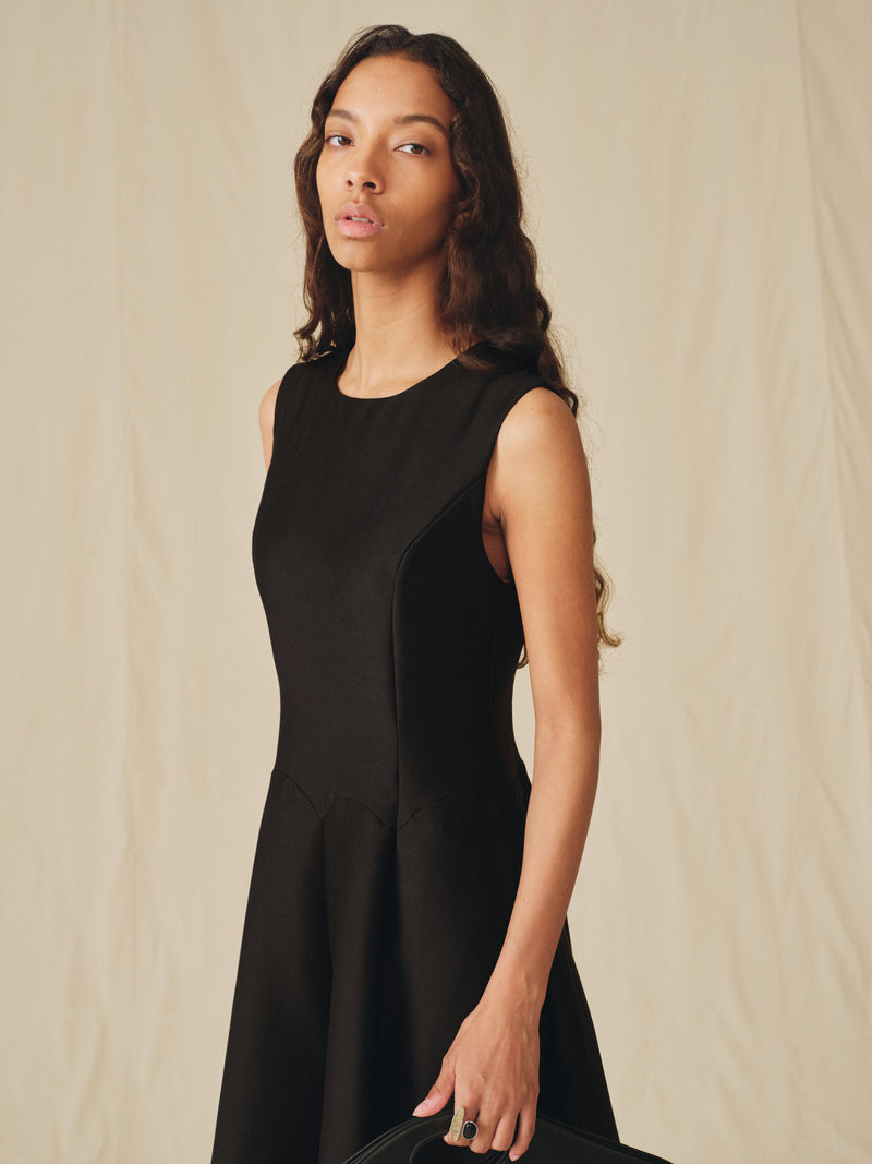 Umber Shaped Flare Dress